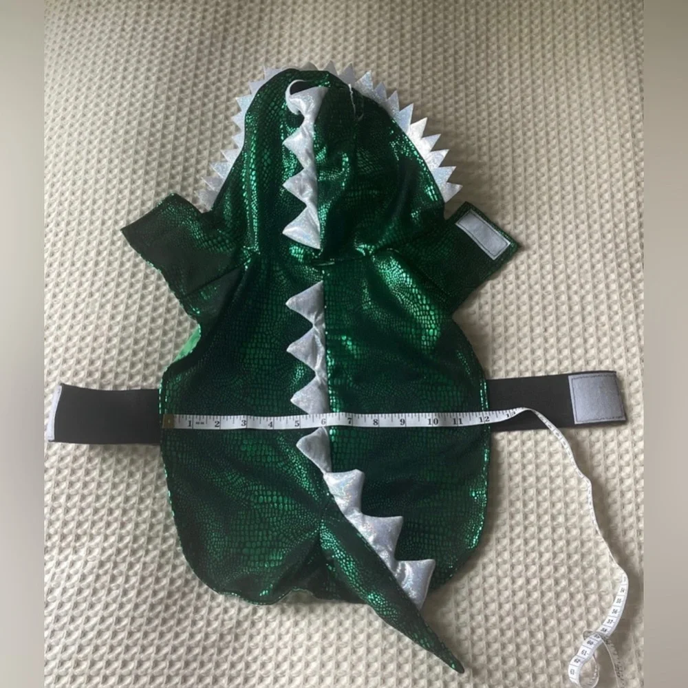Dog costume Halloween Dragon